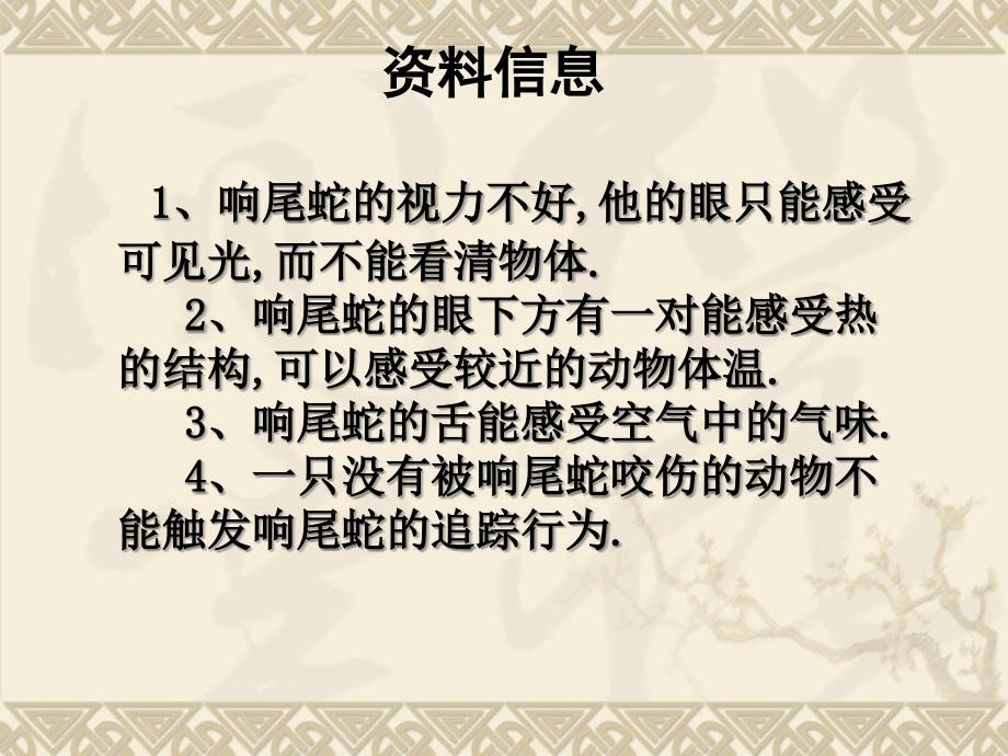 响尾蛇是一种毒蛇长约米身体呈绿黄色具有菱形黑褐_第3页