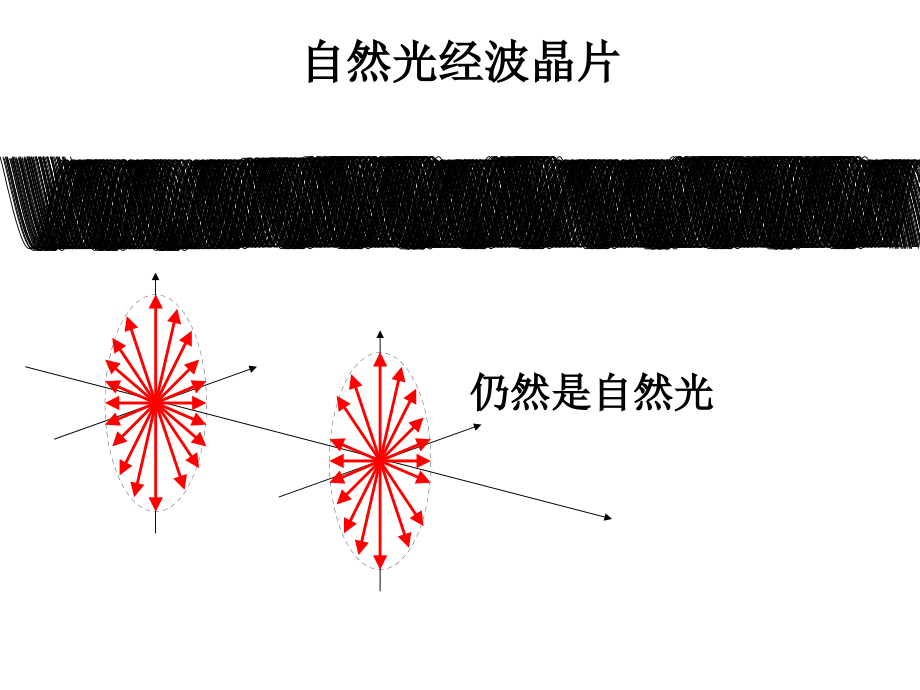 圆及椭圆偏振光的获得和检验_第3页