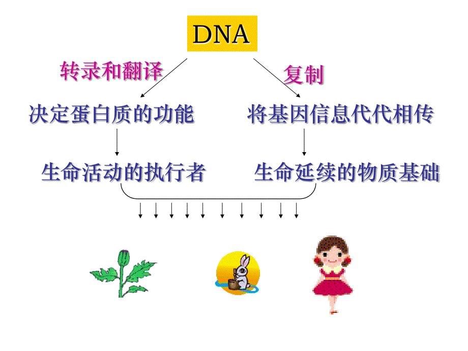 周俊宜中山医科大学生化教研室_第5页