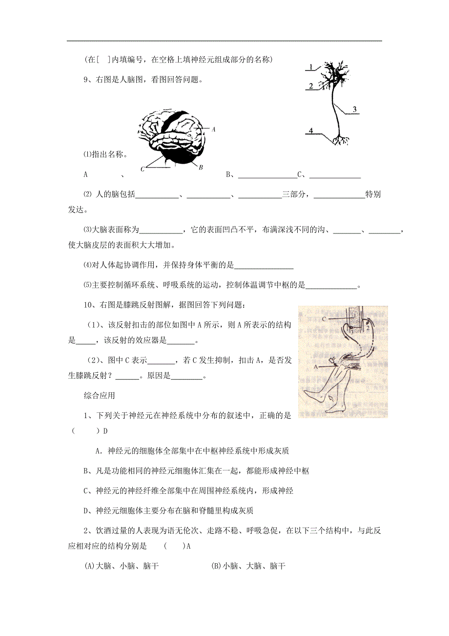 七年级生物下册 第十二章 第三节 人体感知信息同步练习1_第4页