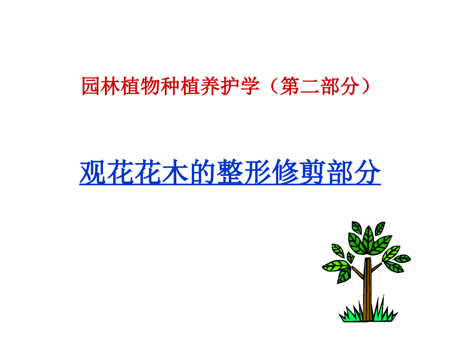 园林植物种植养护学观花花木的整形修剪技术_第1页