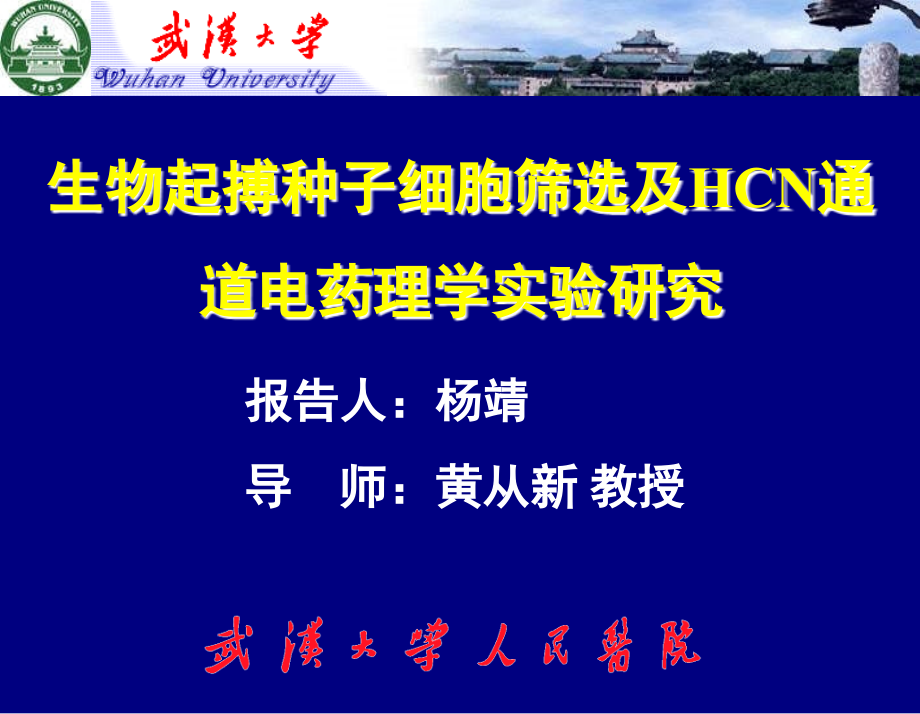 生物起搏种子细胞筛选及hcn通道电药理学实验研究课件_第1页