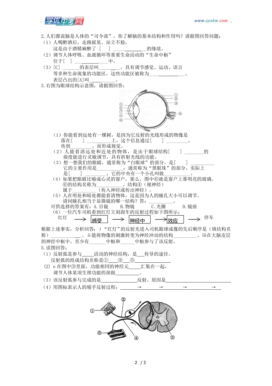 江苏省徐州市王杰中学八年级生物《第十五章》总复习（苏科版八年级上册）_第2页