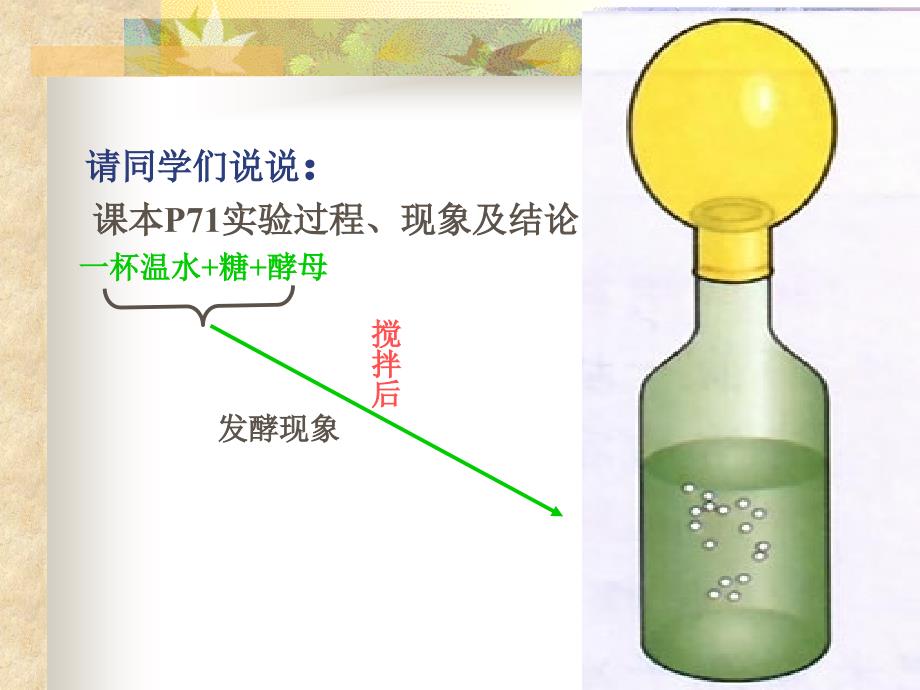 二节人类对细菌和真菌的利_第4页