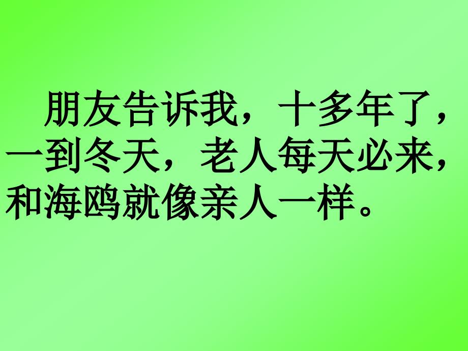 人教版六年级语文上册老人与海鸥课件10_第2页