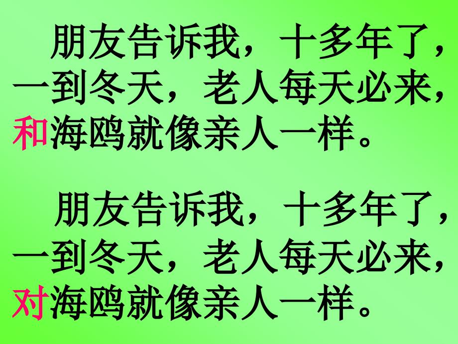 人教版六年级语文上册老人与海鸥课件10_第3页