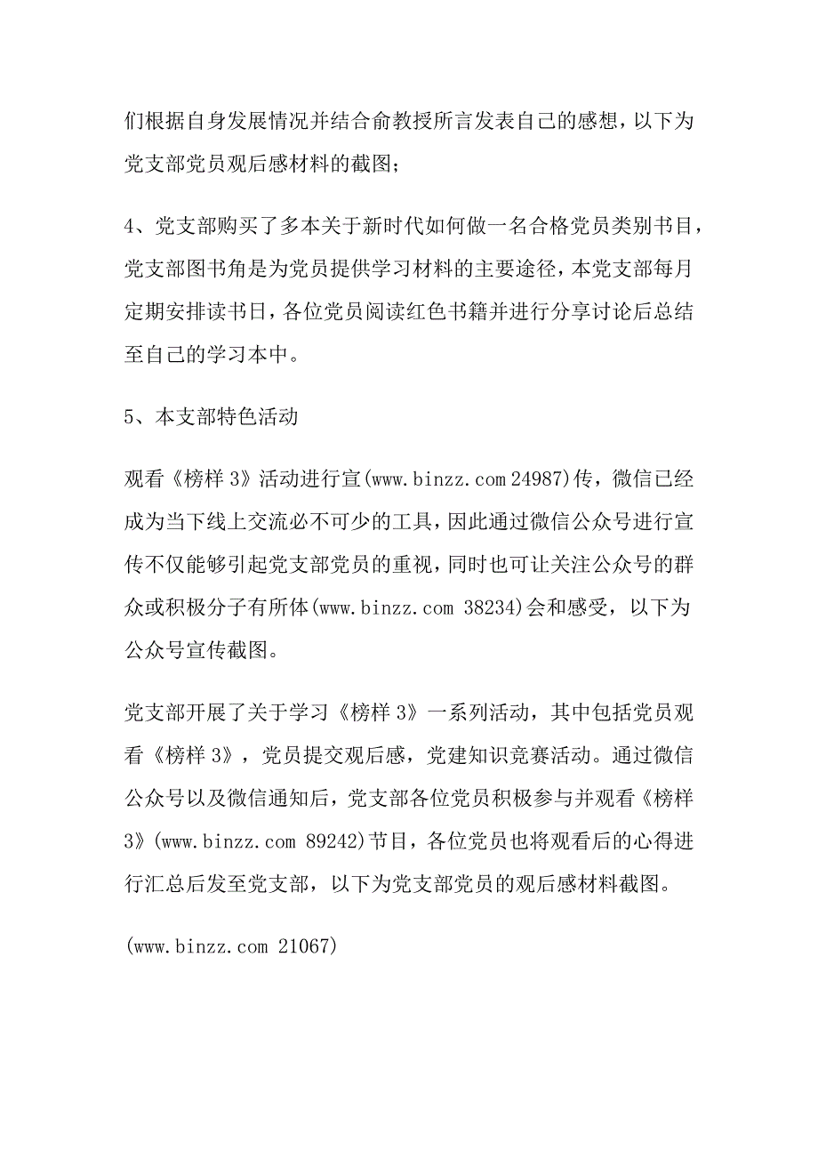 2018年度基层党支部全年工作总结范文_第3页