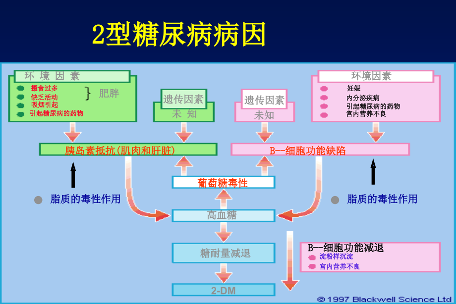 口服降糖药物作用机制及临床应_第3页