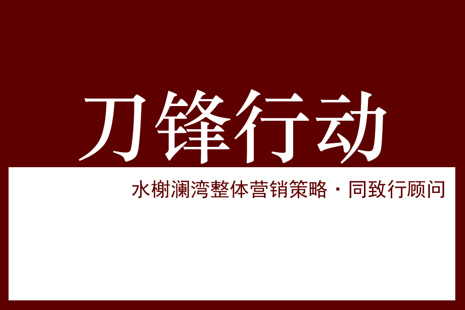 同致行-刀锋行动-水榭澜湾整体营销策略195页_第2页