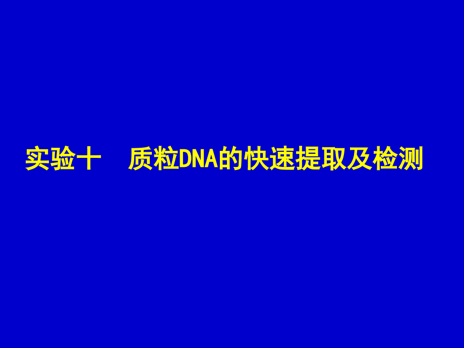 实验七质粒dna提取及鉴定－_第1页