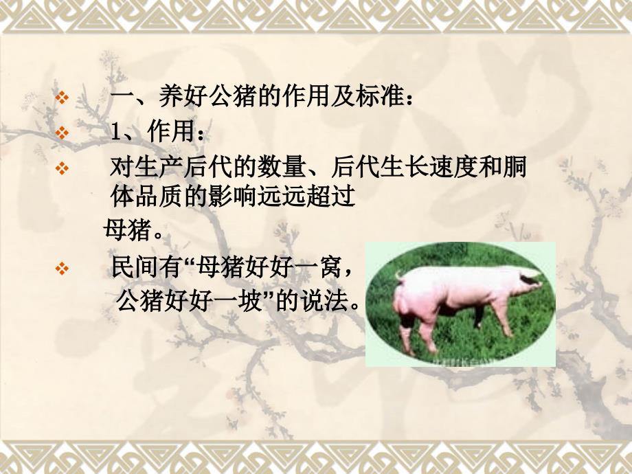 教学情境四种猪饲养管理单元二种公猪饲养_第2页