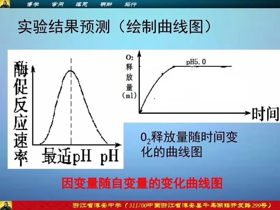 探究影响酶促反应因素的实验设计及分析_第5页