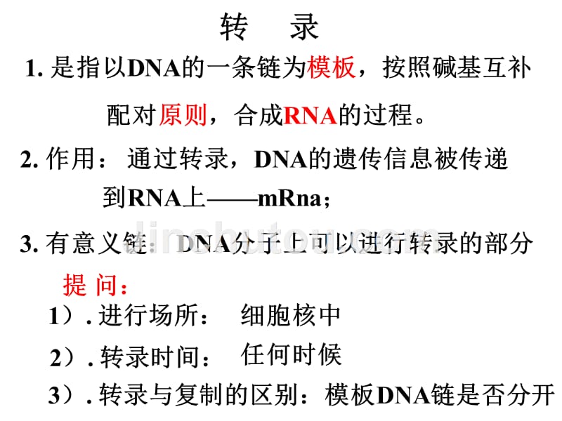 基因控制蛋白质合成的过程_第4页