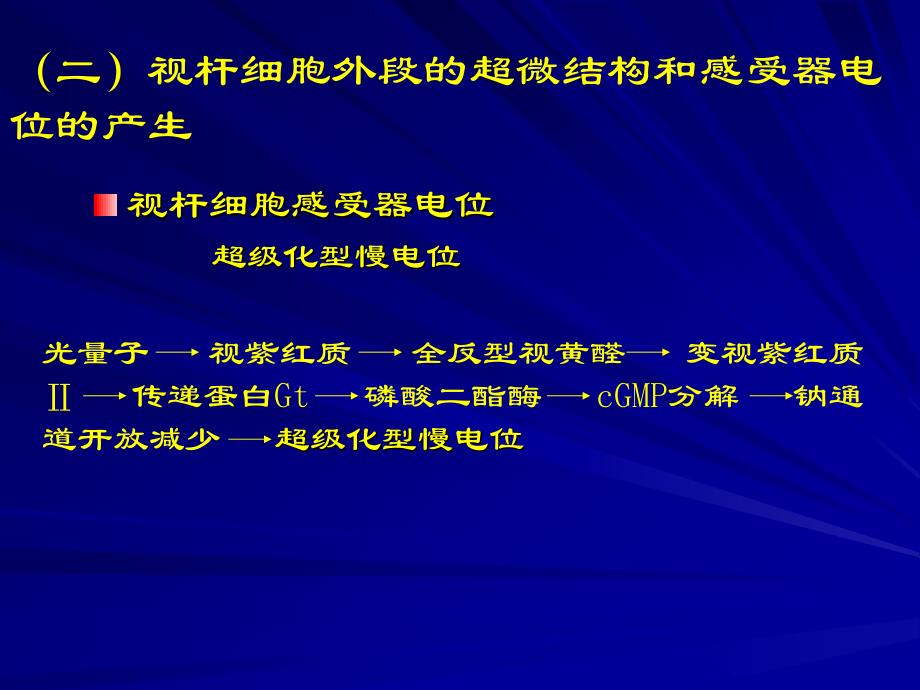 二视杆细胞外段的超微结构和感受器电位的产生_第1页