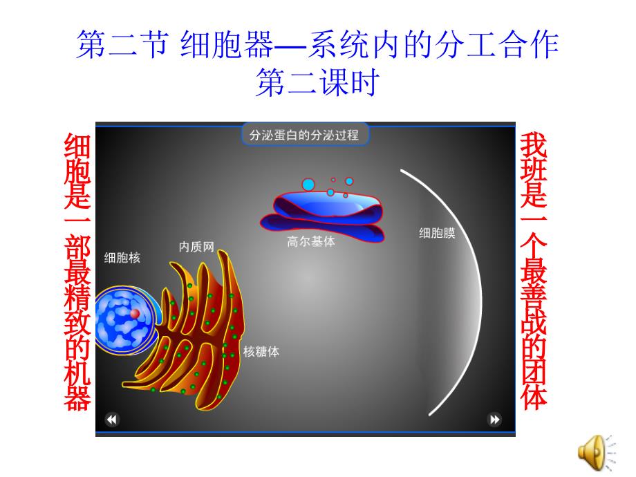 二节细胞器系统内的分工合作二课时_第1页