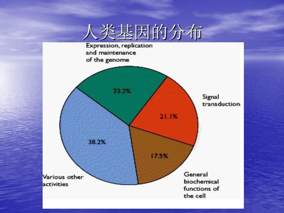 《人类基因组》ppt课件_第5页