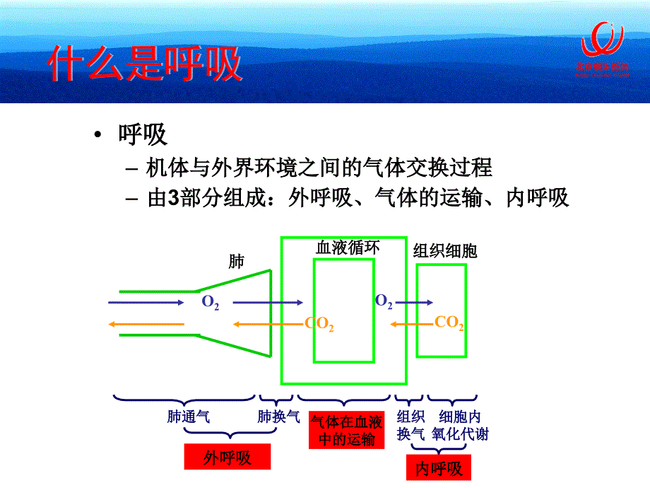 机械通气相关的呼吸生_第2页