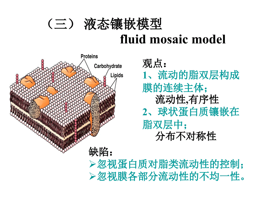 二节细胞膜的分子结构_第4页