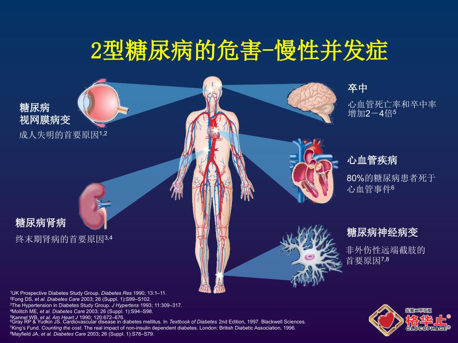 二甲双胍格华止型糖尿病的基础用药_第3页