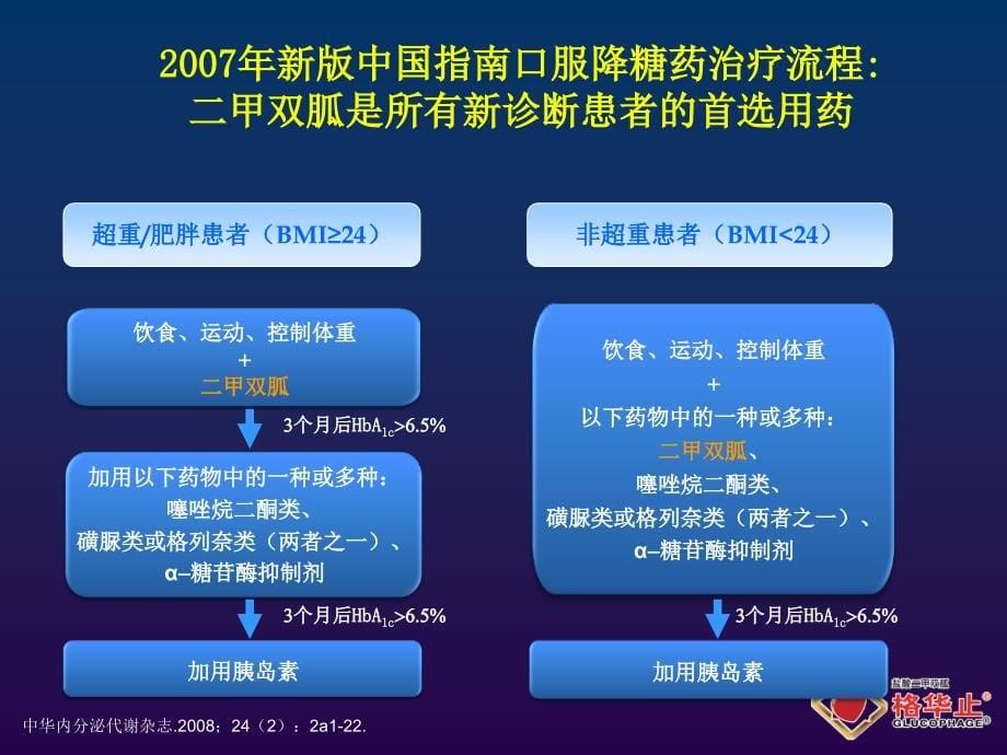 二甲双胍格华止型糖尿病的基础用药_第5页