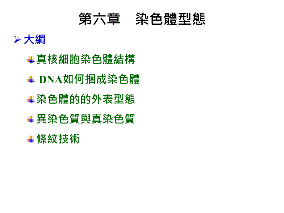 《染色体型态》ppt课件_第1页