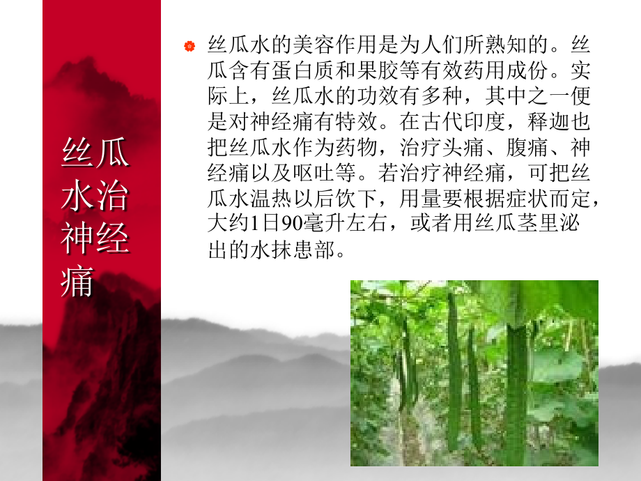 《果蔬功能与治病》ppt课件_第4页