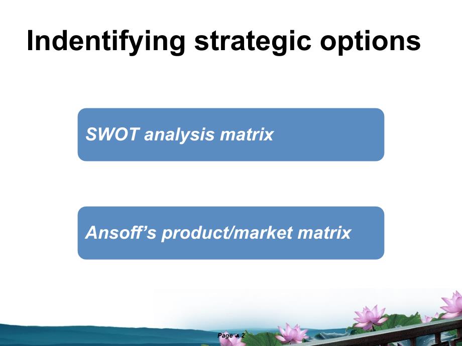 business strategy(英文版) swot分析与安索夫矩阵_第2页