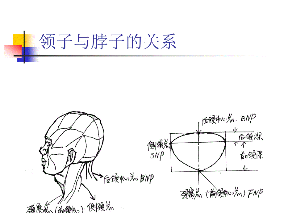 《衣领结构设计》ppt课件_第4页