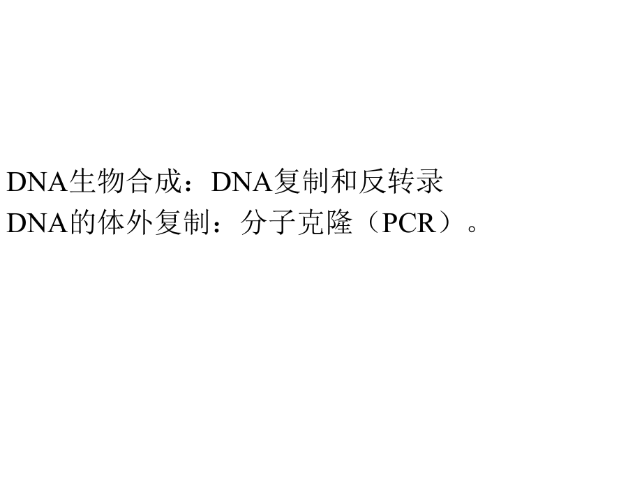 《的复制和修复》ppt课件_第3页