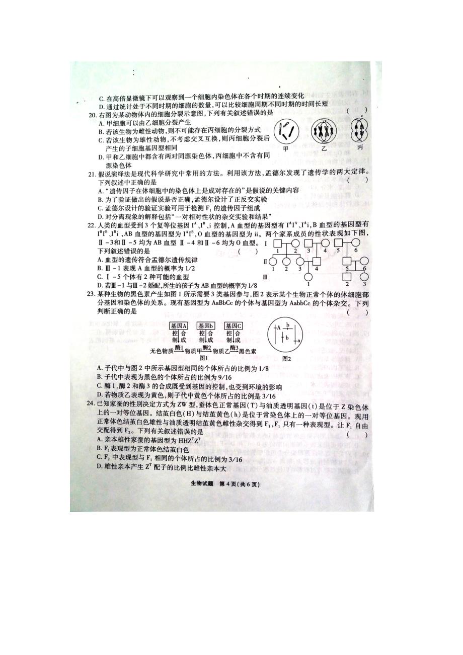 安徽省江淮十校第二次联考生物试题doc1_第4页