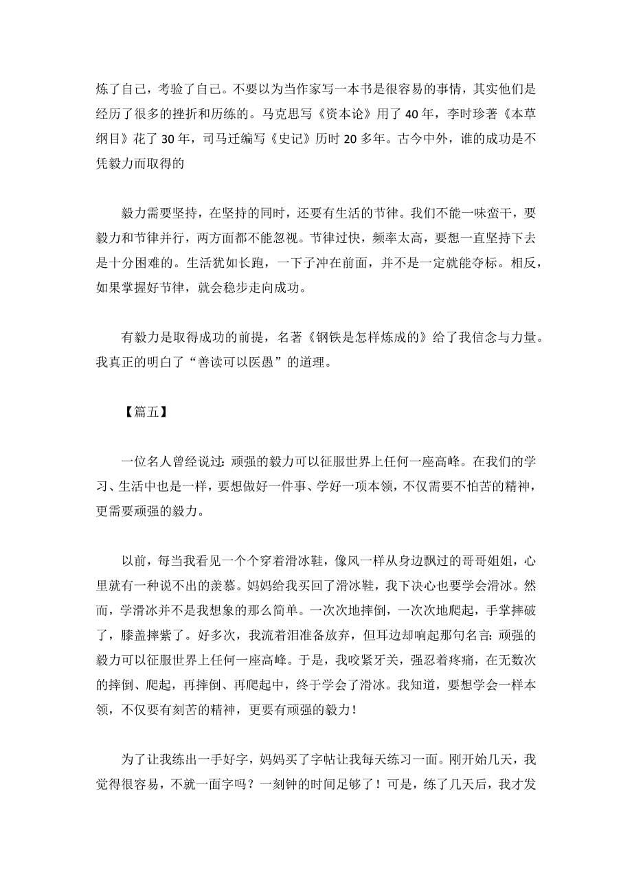 关于成功与毅力的议论文5篇_第5页