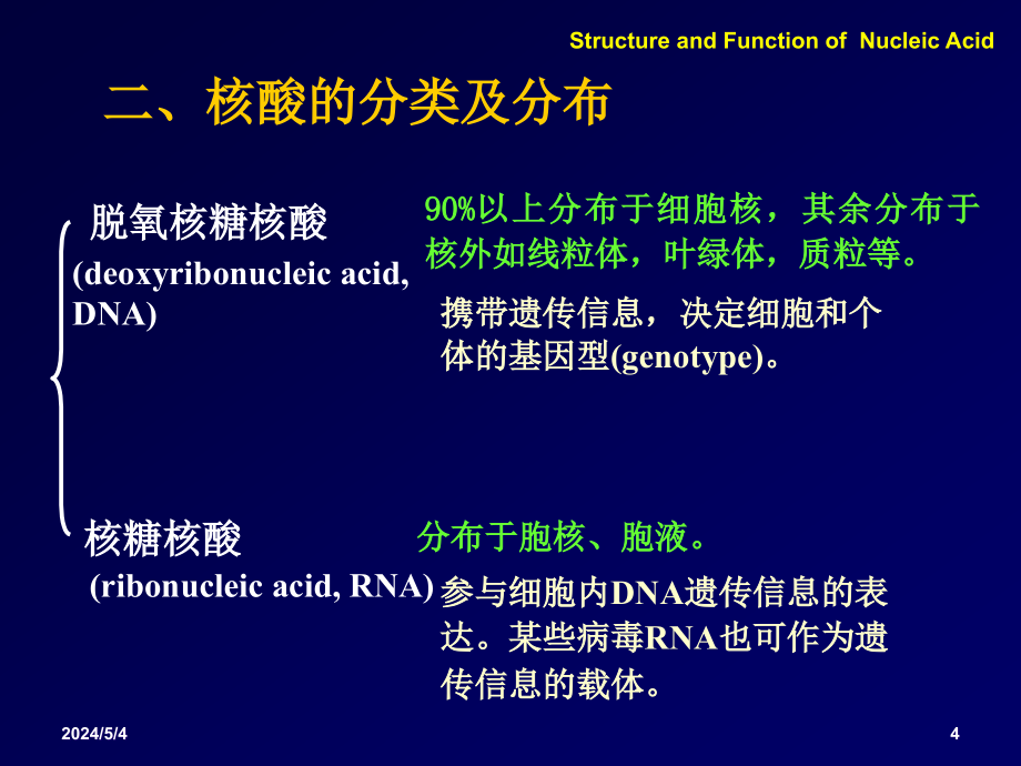 《核酸结构与功能》ppt课件_第4页
