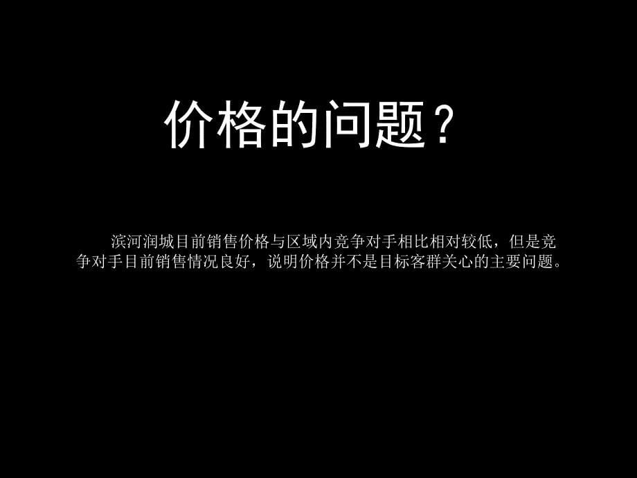 临沂滨河润城项目诊断与规划思路沟通_第5页