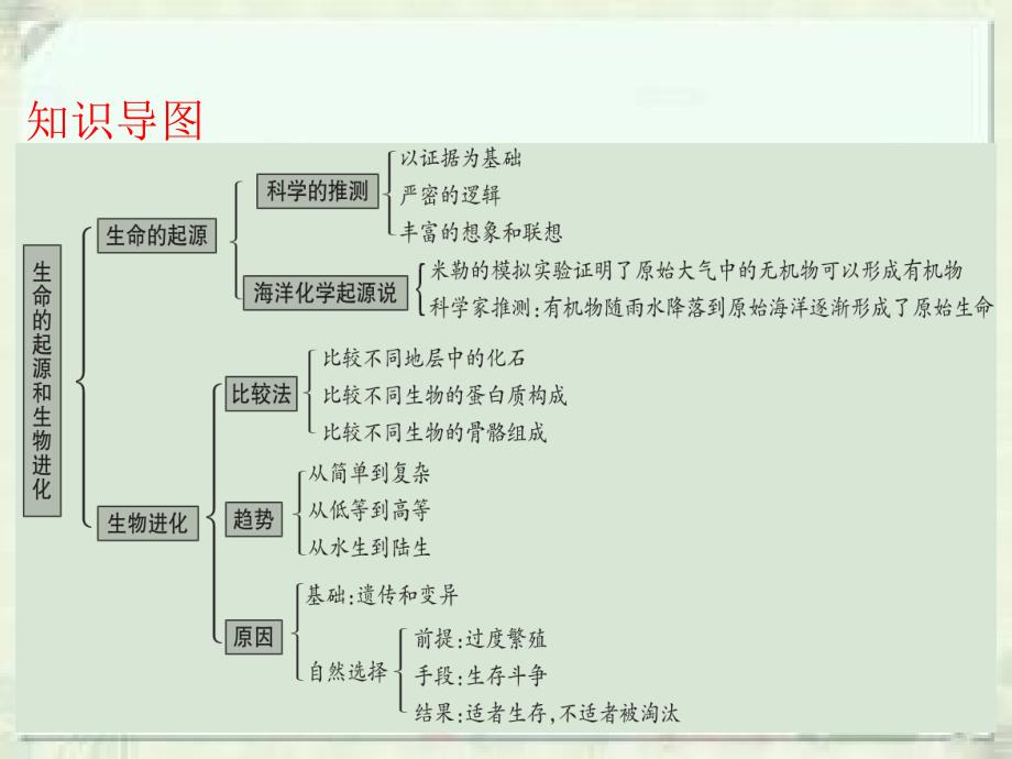 广东省中考生物复习课件：第七单元  第三章  生命起源和生物进化_第3页