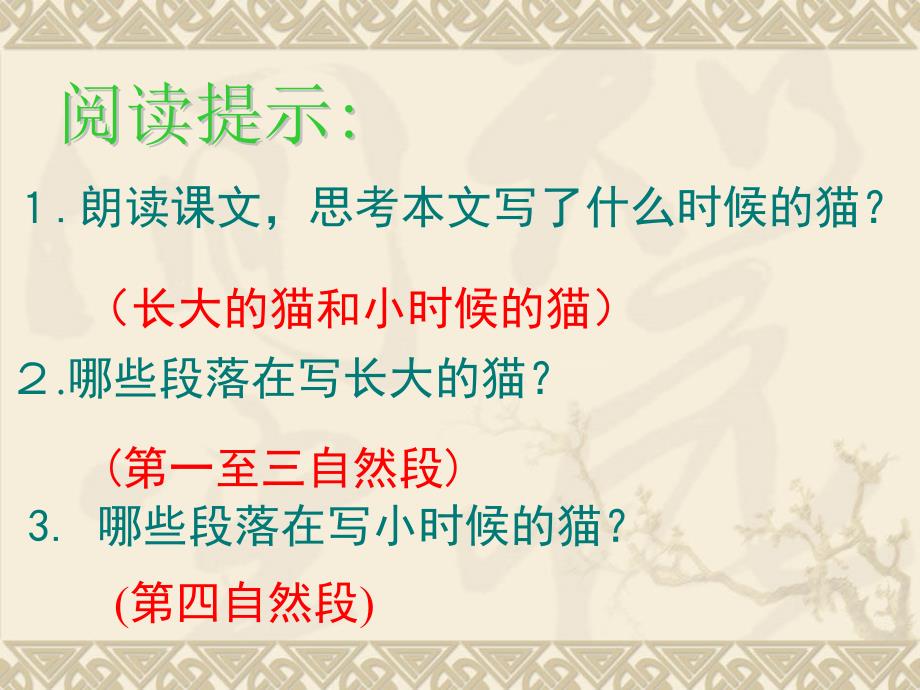 6.1 猫 课件（新人教版七下)_第3页