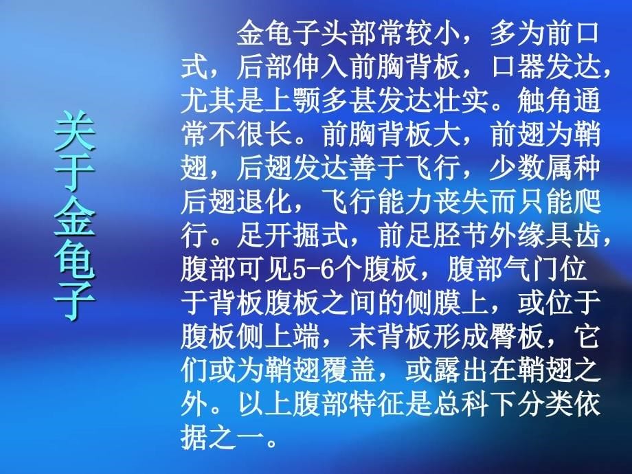 4.16 松树金龟子 课件2（苏教版七年级下）_第5页