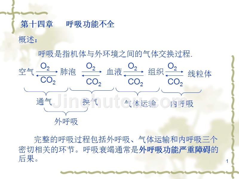 《呼吸功能不全》ppt课件_第1页