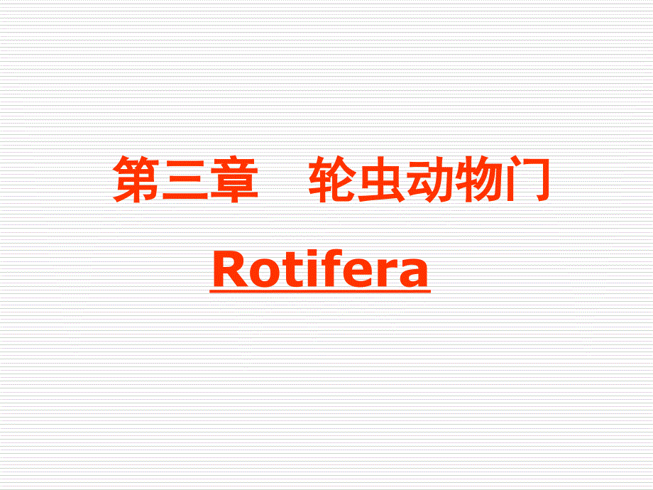 《轮虫动物门》ppt课件_第1页