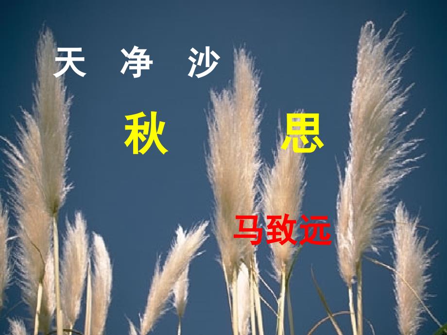 3.5 古代诗歌五首 天净沙秋思 课件（新人教版七年级上）3_第1页