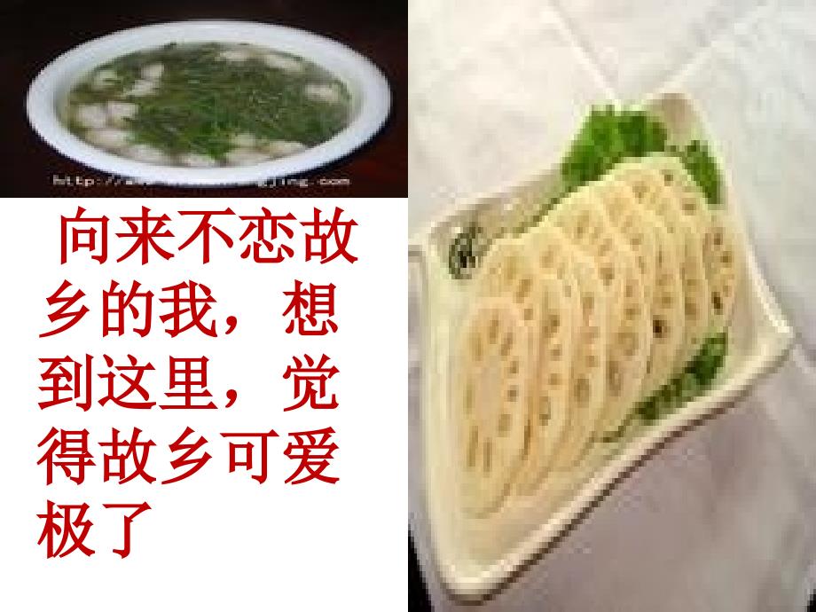3.4藕和莼菜  课件 上海版（五四学制）七年级语文上册  _第2页