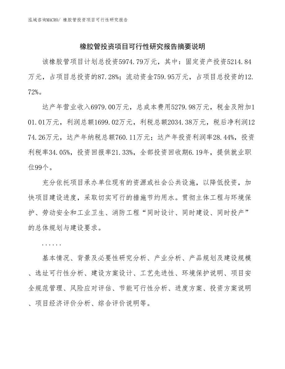 橡胶管投资项目可行性研究报告_第2页