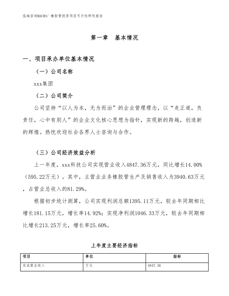 橡胶管投资项目可行性研究报告_第4页