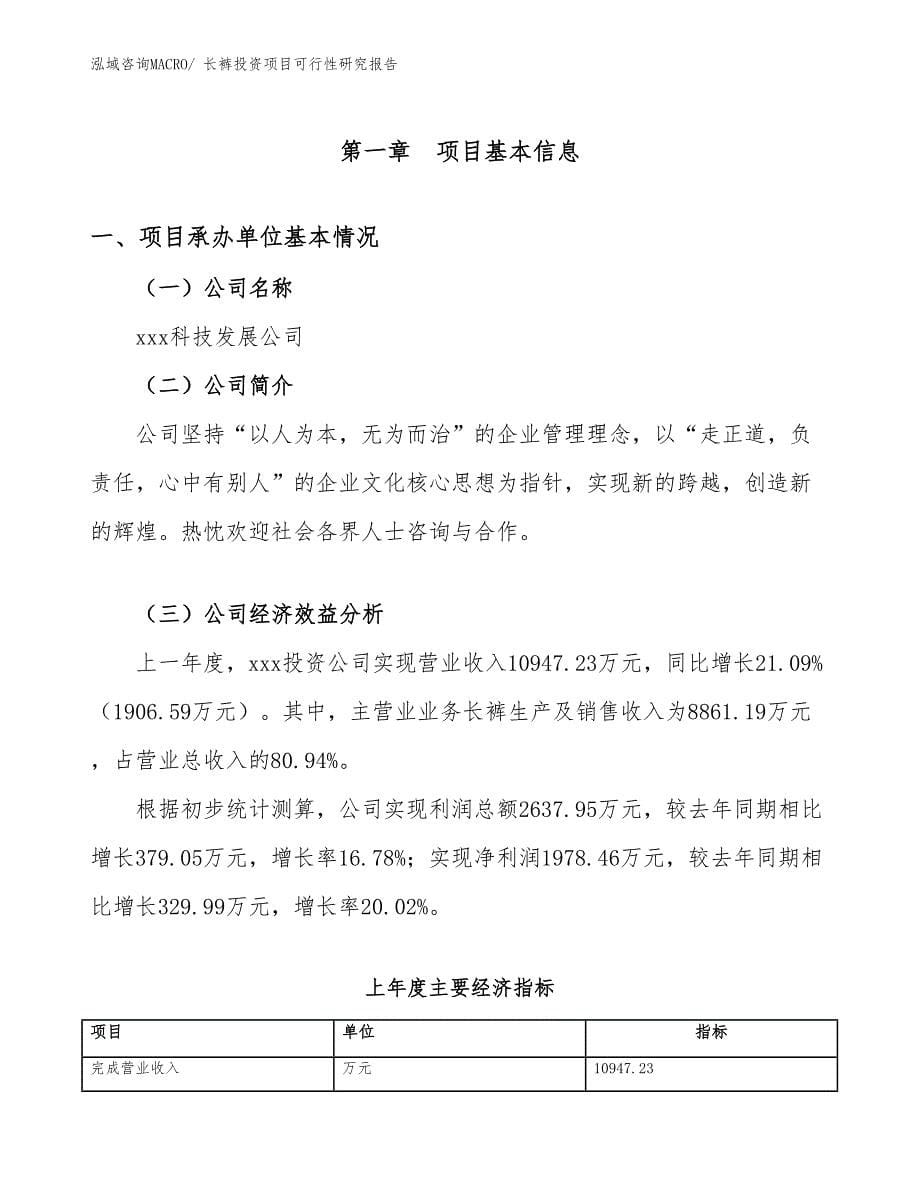 长裤投资项目可行性研究报告_第5页