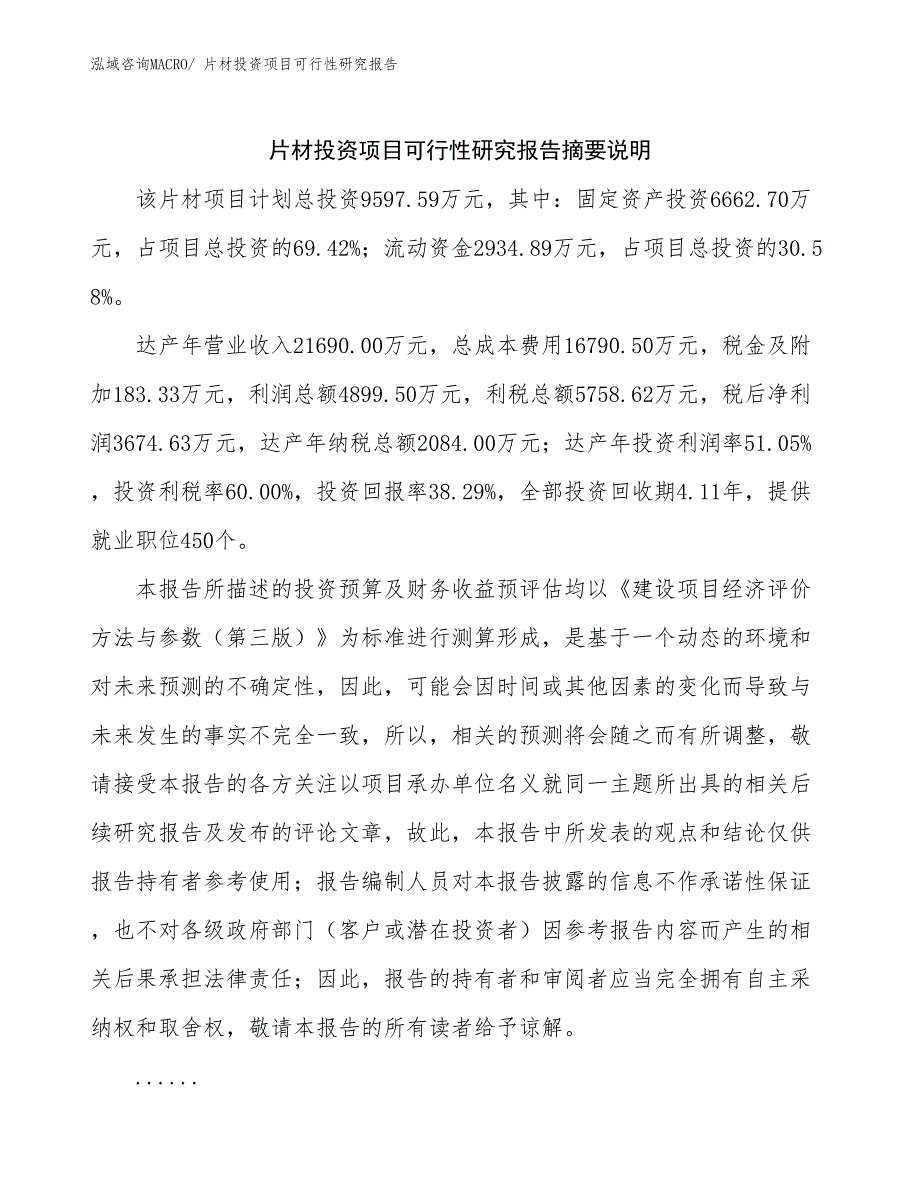 片材投资项目可行性研究报告_第2页