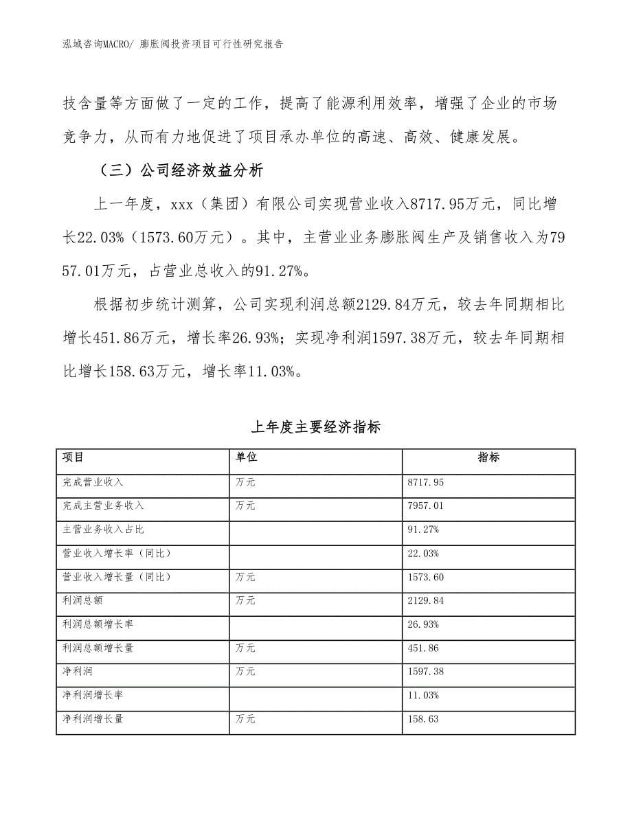 膨胀阀投资项目可行性研究报告_第5页