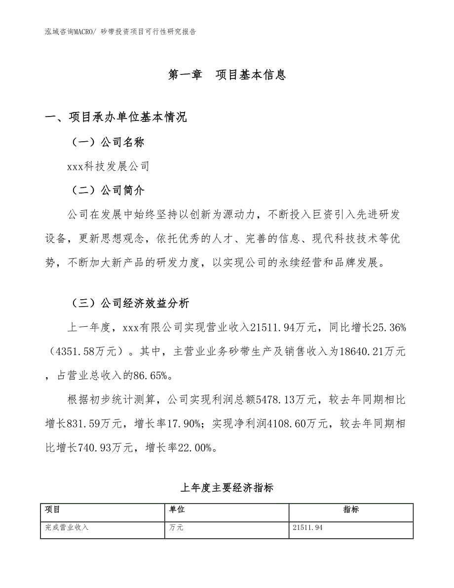 砂带投资项目可行性研究报告_第4页