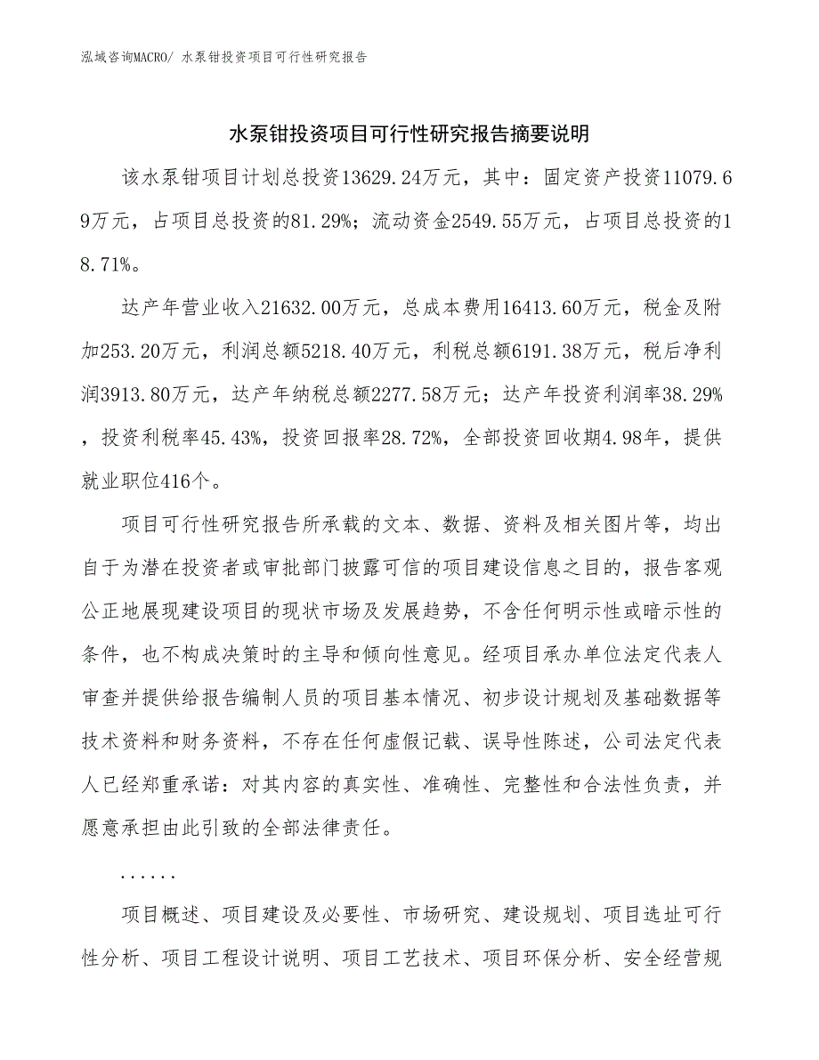 水泵钳投资项目可行性研究报告_第2页