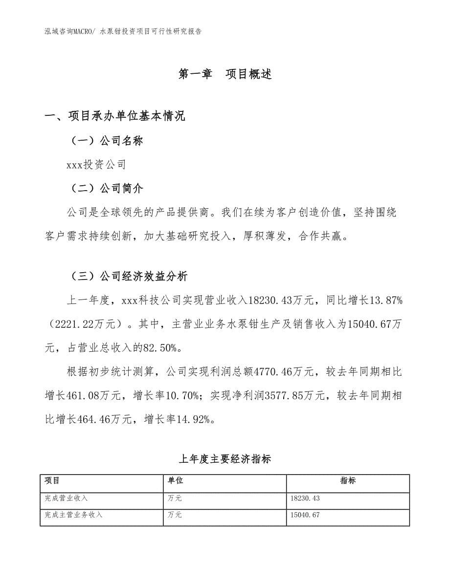 水泵钳投资项目可行性研究报告_第5页