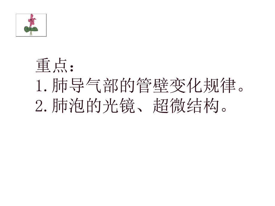 组织学及胚胎学呼吸系统_第2页