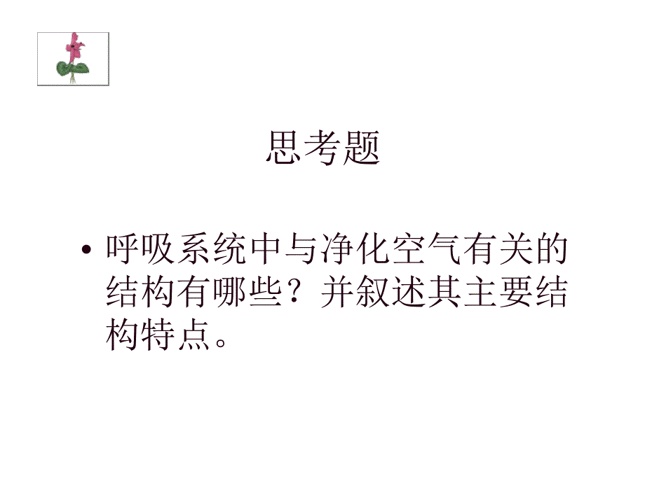 组织学及胚胎学呼吸系统_第3页